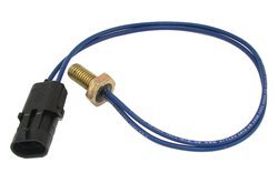 Thermister bolt